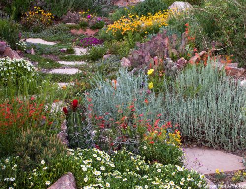 Are Garden Photos Misleading ?